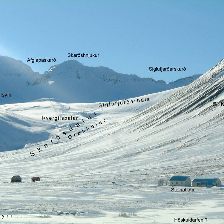 Örnefni í Skarðsdalum